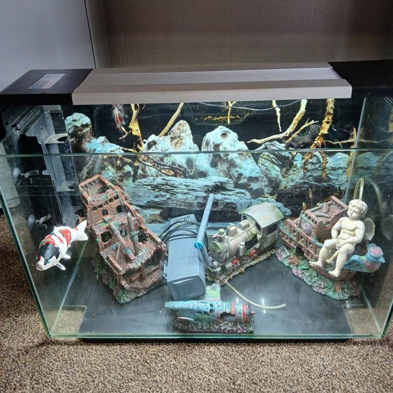 Large fish tank set up 