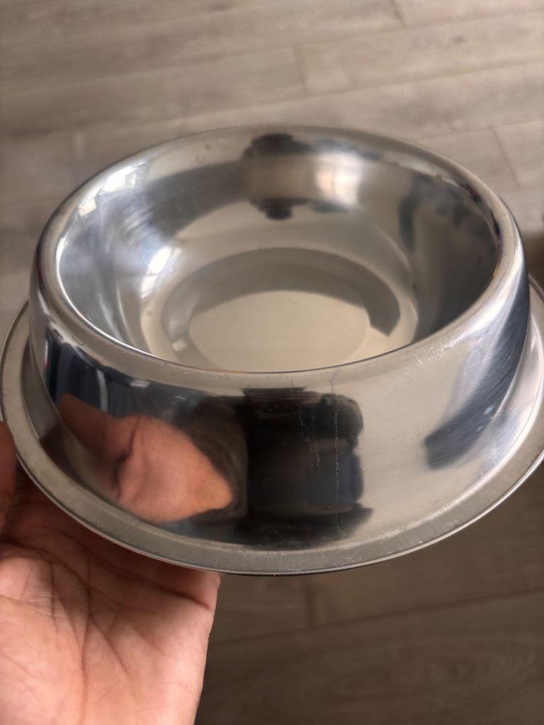 Dog Bowl