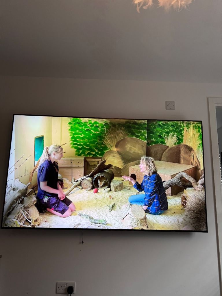 Samsung plus 65 inch smart tv 