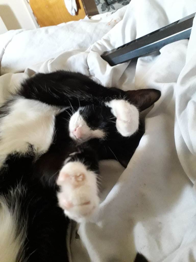 Hey can anyone help?