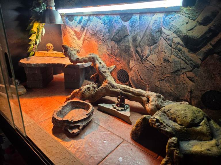 4ft Black Decorated Vivarium With Accessories