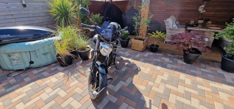 Yamaha, FZ 6, 2009, 599 (cc)