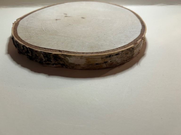 Natural Wood Slice Coaster/Decor – As Good As New