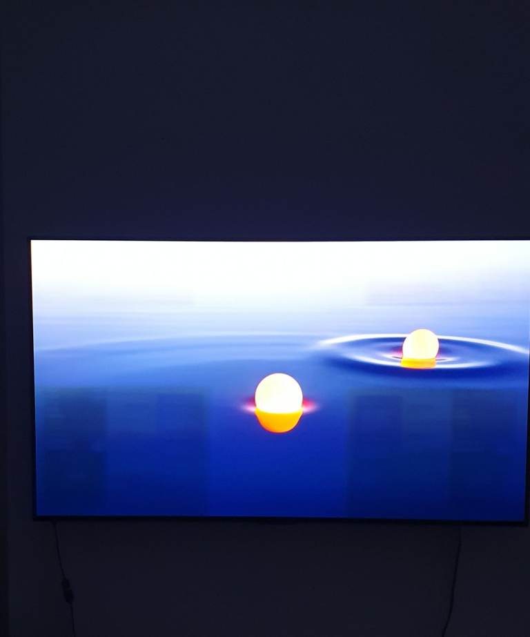 48'' LG OLED OLED48C44LA GOOGLE ASSIST ULTRA £849 online ex display 