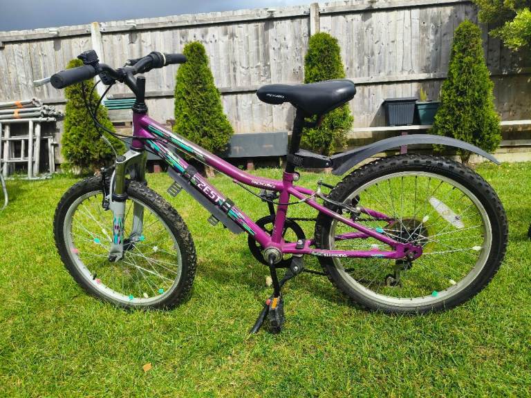 Apollo Zest girls mountain bike 20 "