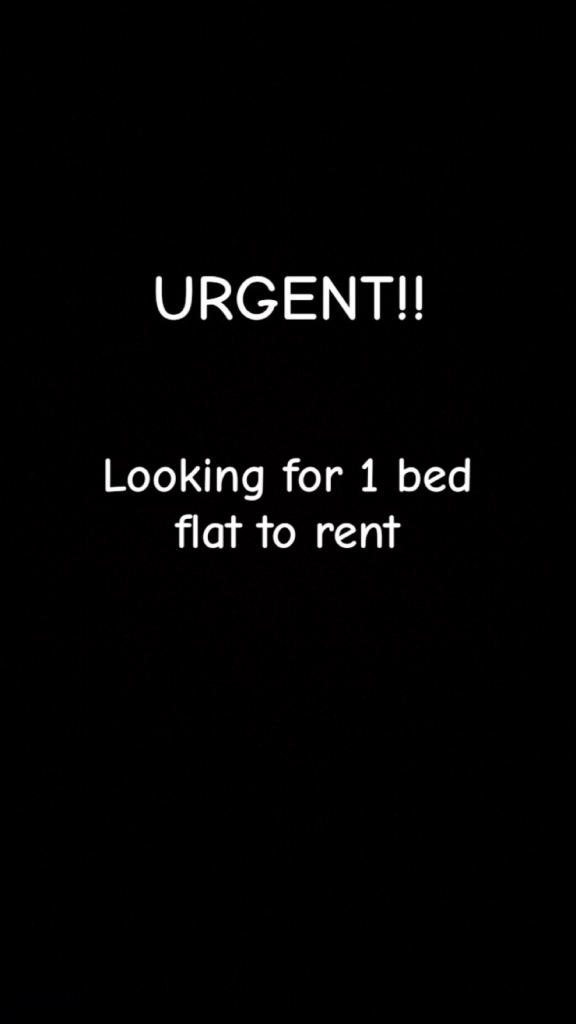URGENT LOOKING FOR FLAT TO RENT 