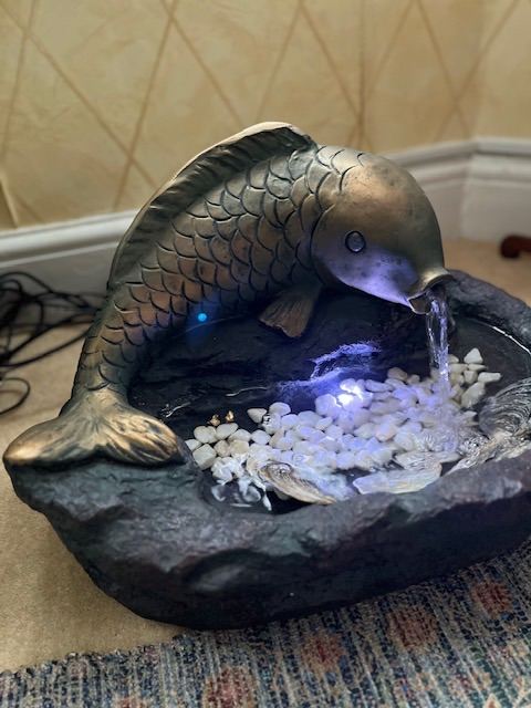 Carp Water Feature 