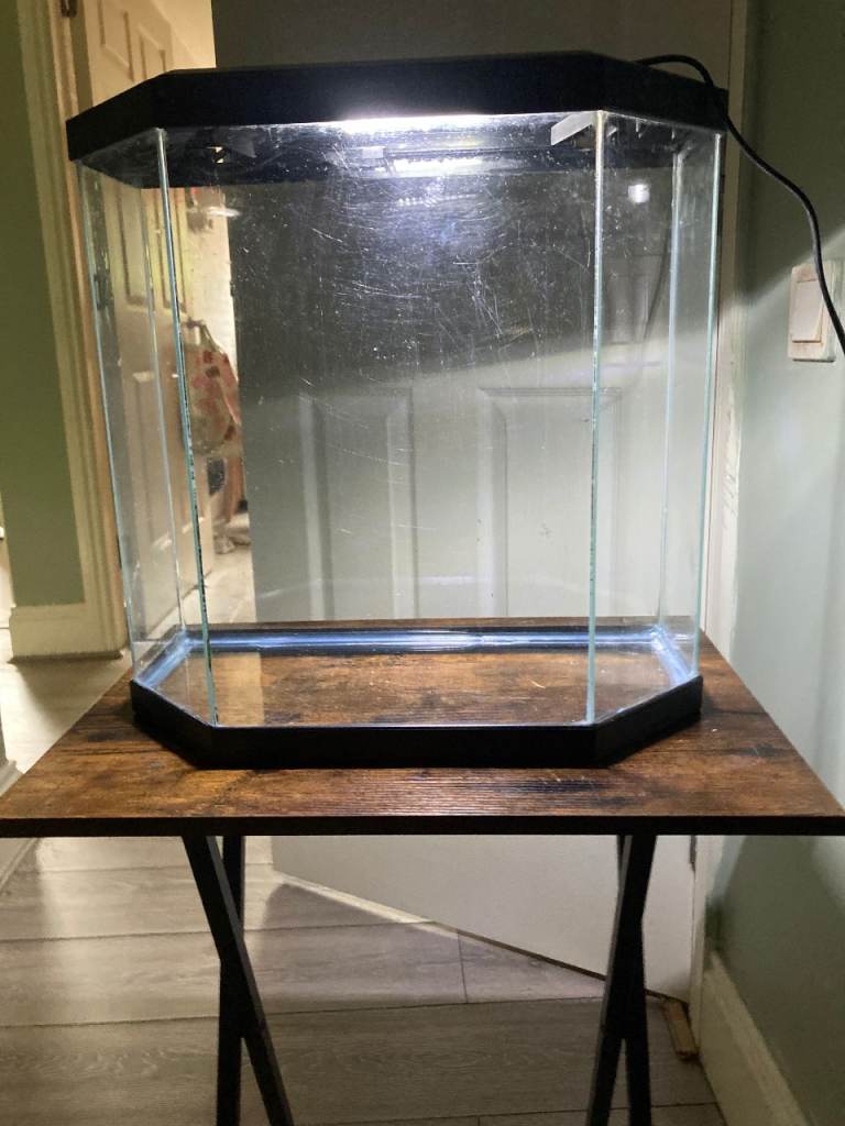 fish tank with fluval U1 filter and digital heater