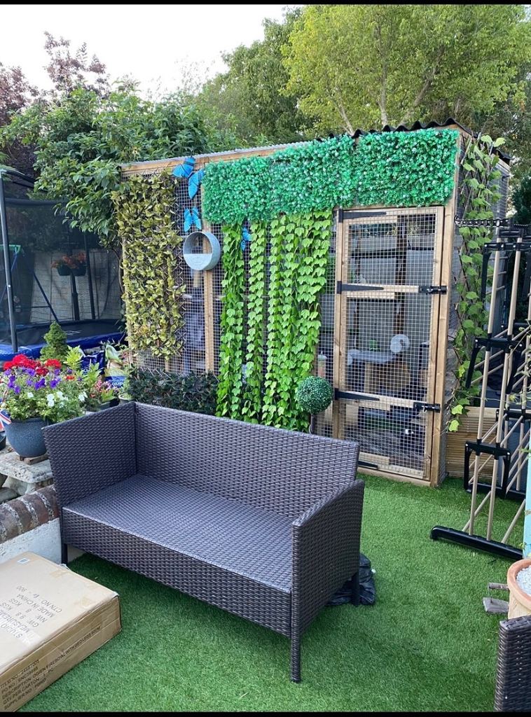 Catio