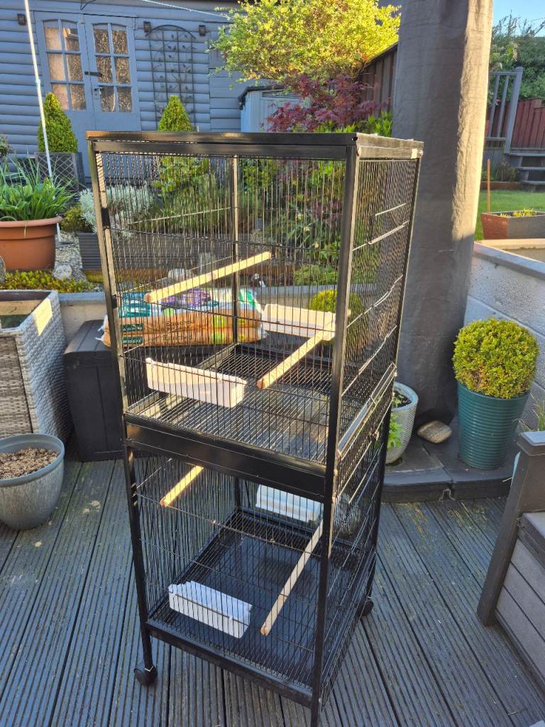 Large double birdcage 