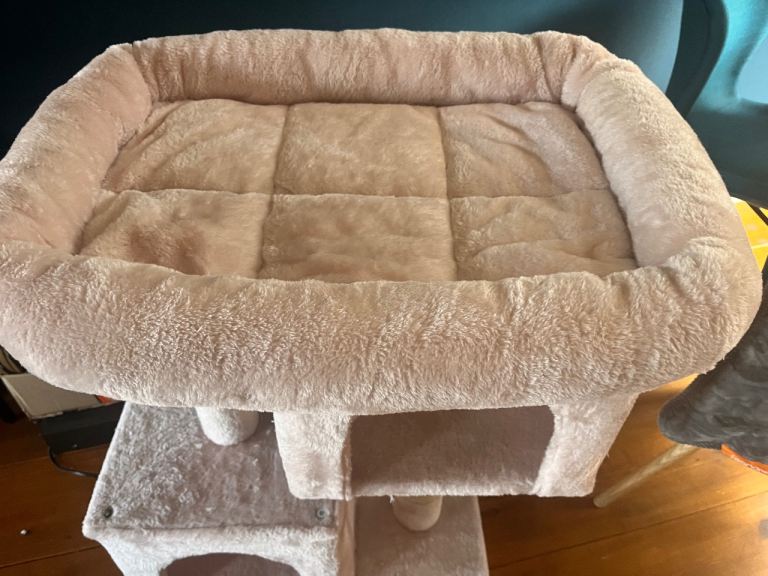 Pink cat tree.  FREE