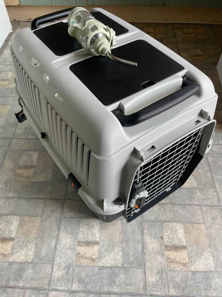 IATA/airline approved Pet Carrier with Metal Door & Water Bottle, Grey/Black