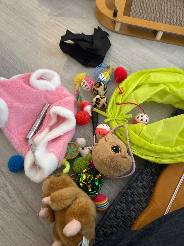 Cat toys