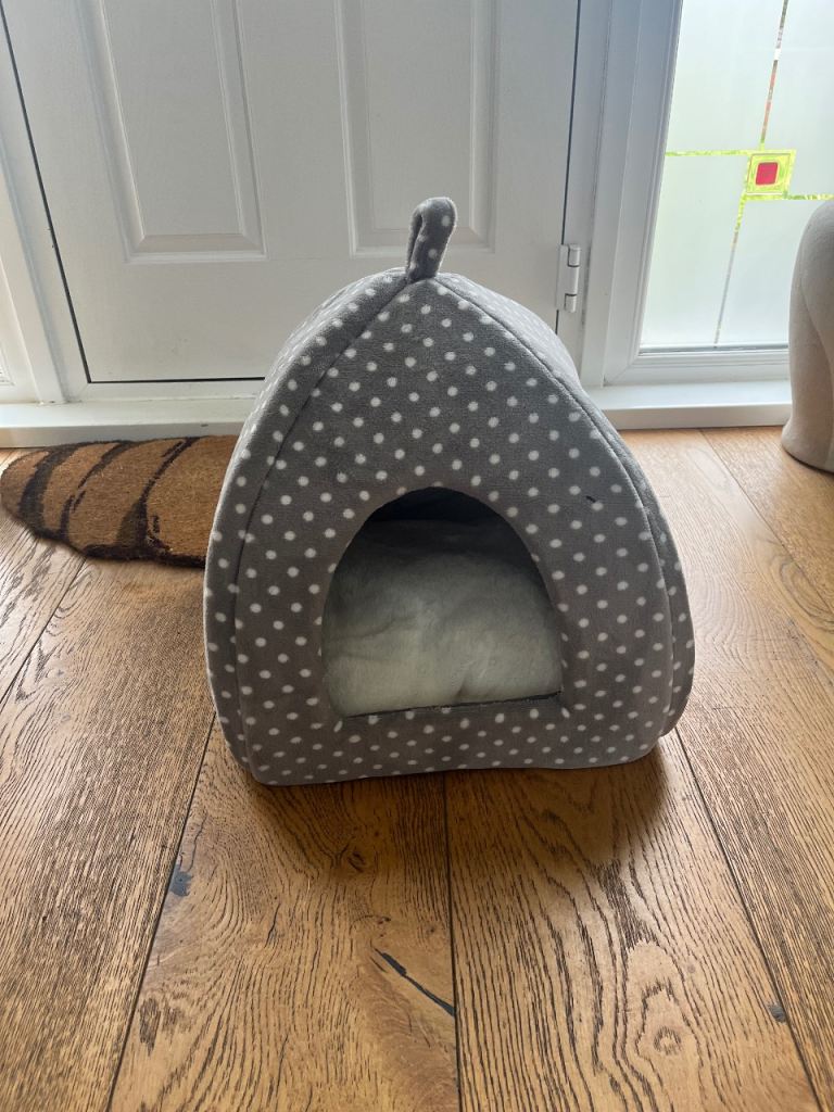 Cat Igloo