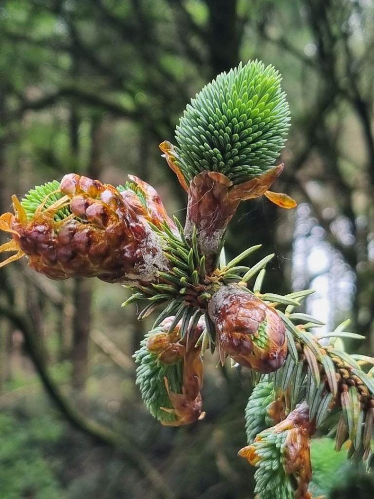 Old negatives and slides wanted