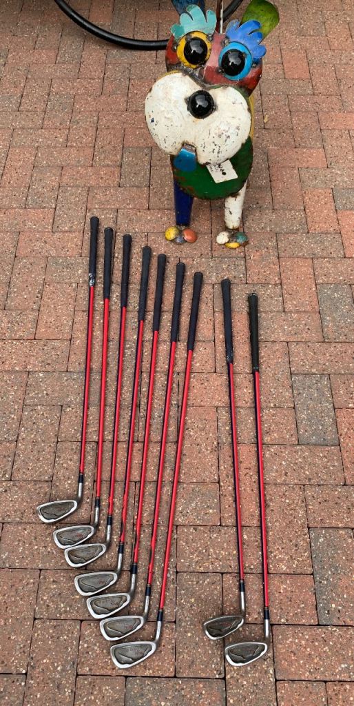 Left Handed Irons Set 3-9, PW, SW with Red Shafts