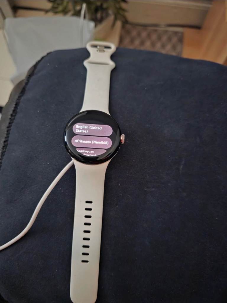 Google Pixel Watch lte