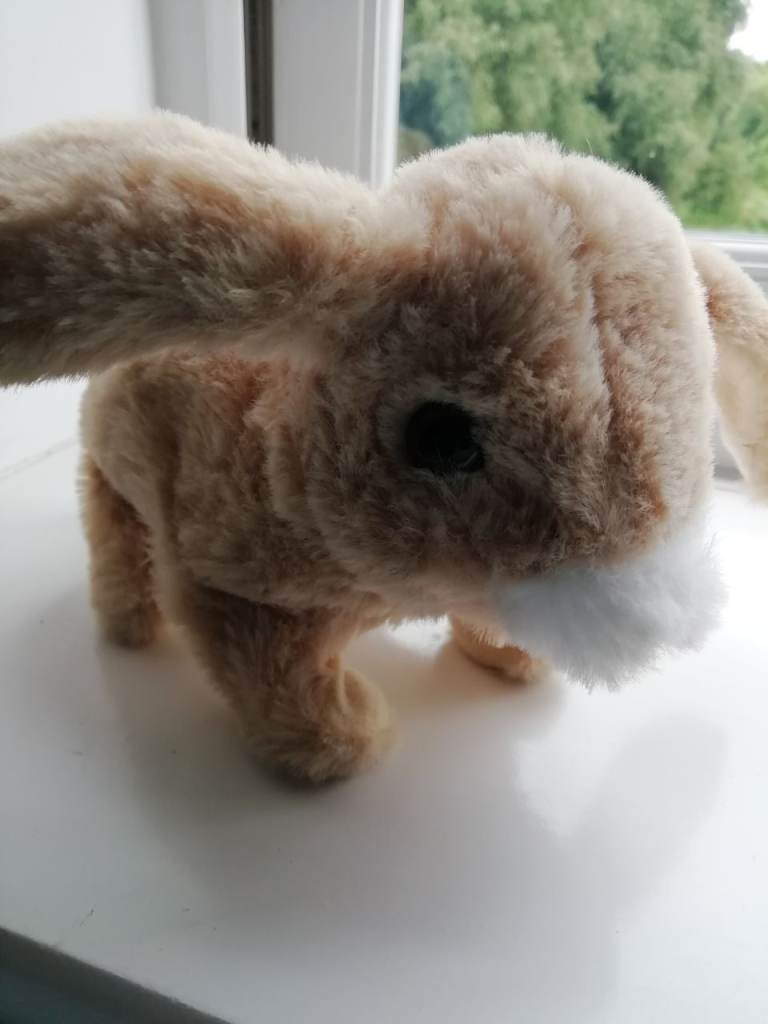 PITTER PATTER TOY BUNNY 