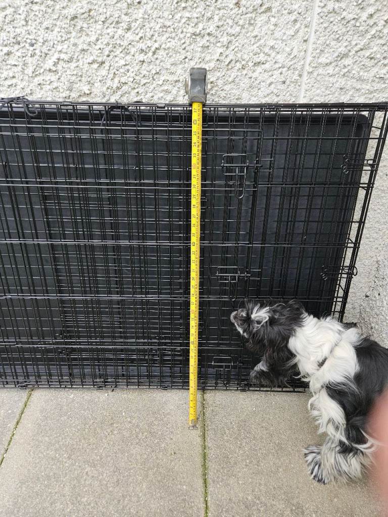 Dog cages 