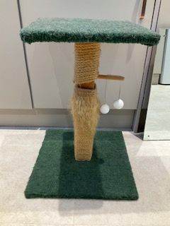 Cat scratching post
