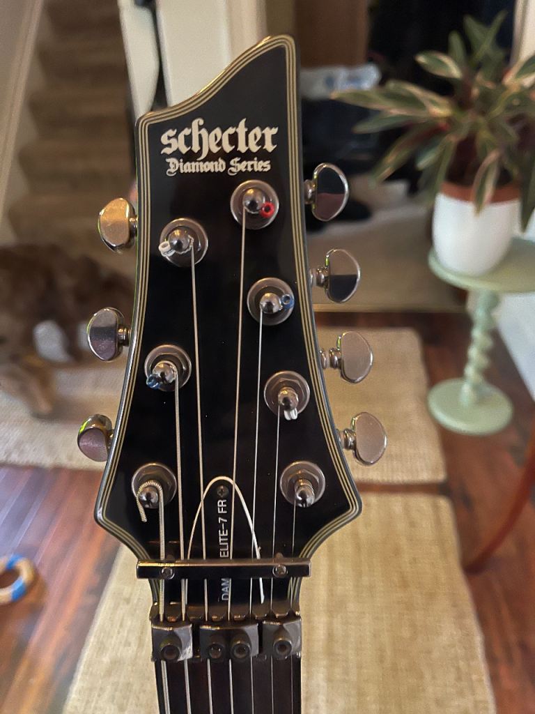 Schecter Diamond Series-Damien Elite