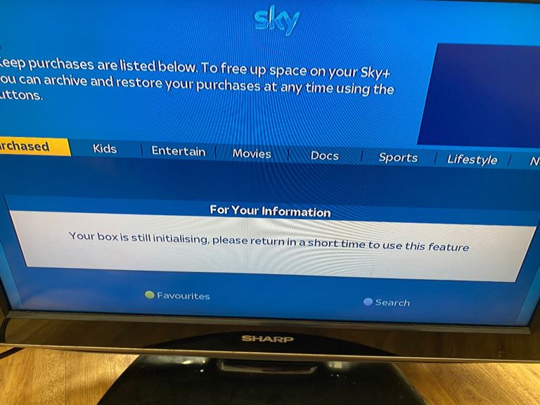 X2 Sky+ HD Box - Good Working Condition