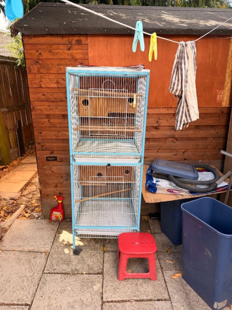 Birds Cage 