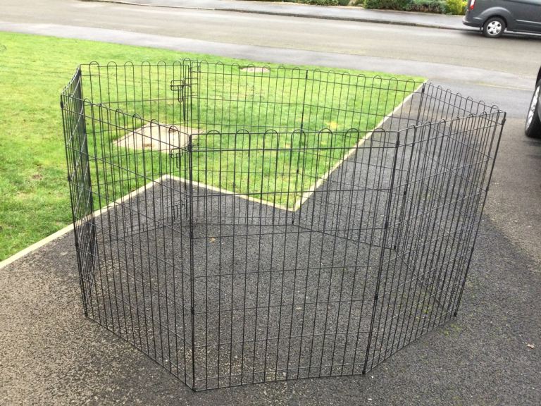 Dog play pen 