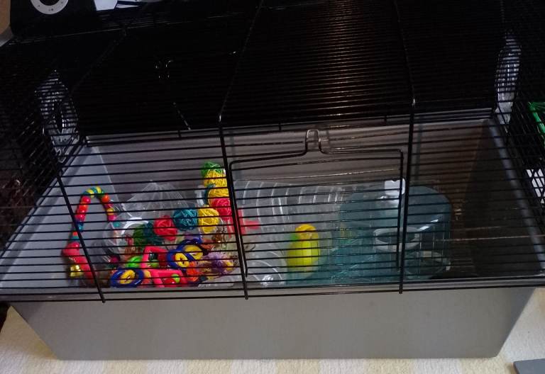 Cage for hamster