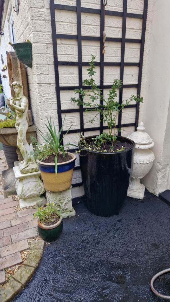 Huge Japanese salt glazed ceramic garden plant pot  