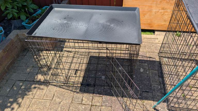Medium Double Door Folding Dog Crate