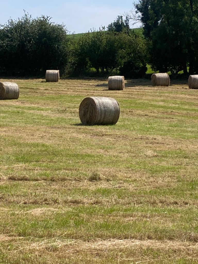 Round bales of lovely hay