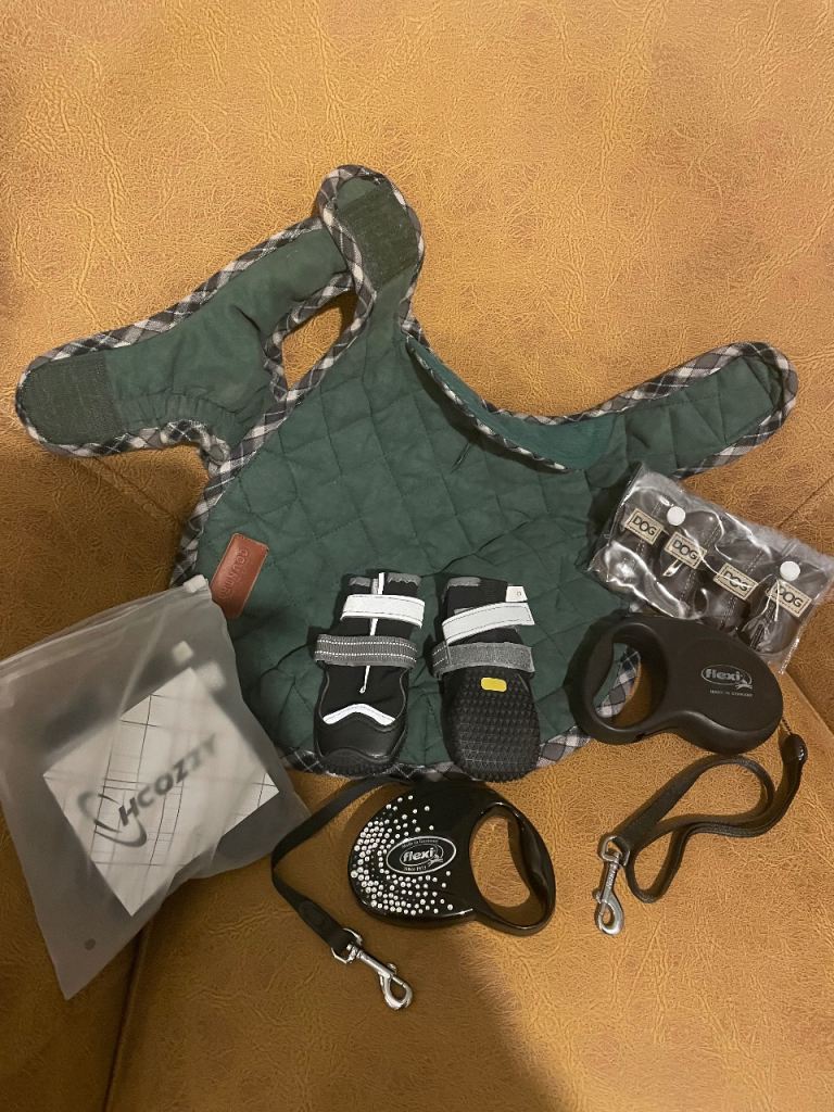 Collection of small dog coat, shoes & retractable leads