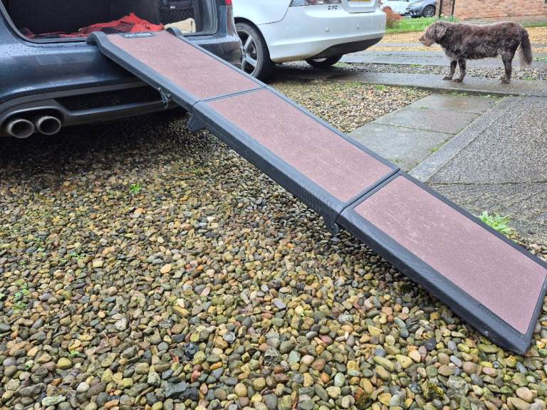 Dog Ramp