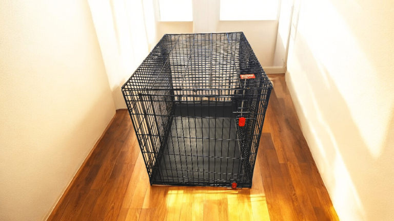 XXL Kong Dog Crate + Seperator Panel