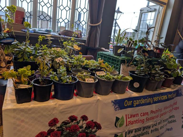 House and Garden Plants Swap 