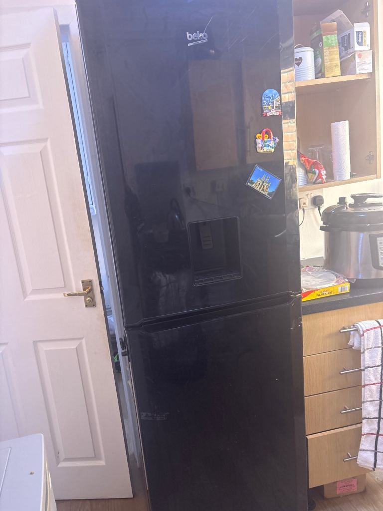 Free standing fridge freezer 