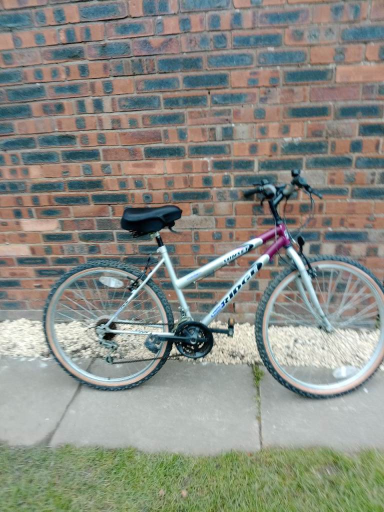 Ladies bike