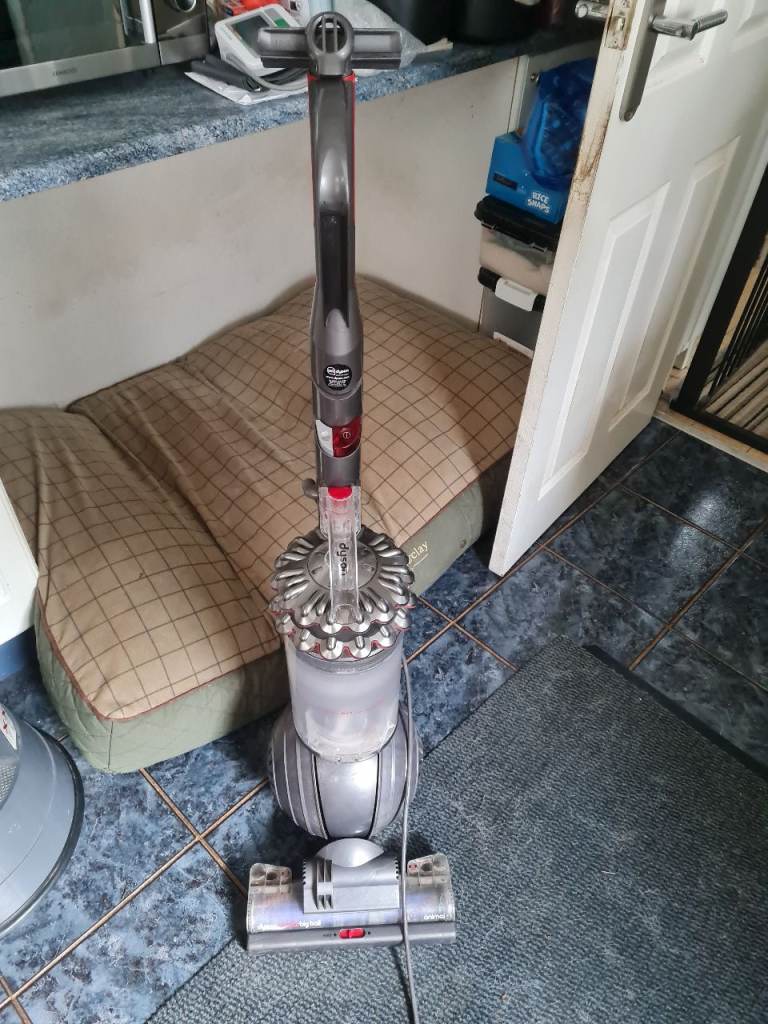 Dyson bigball animal vacuum cleaner 