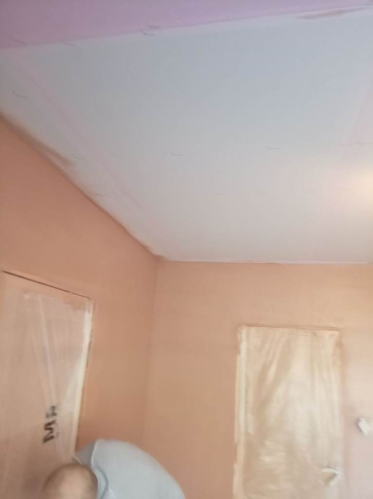 Plasterer