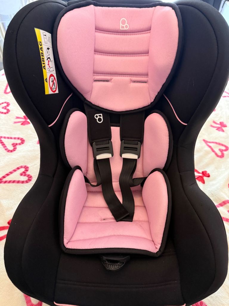 Puggle car seat 