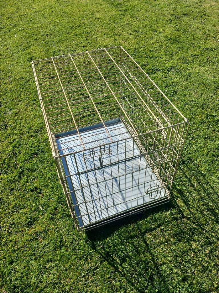 Large dog crate