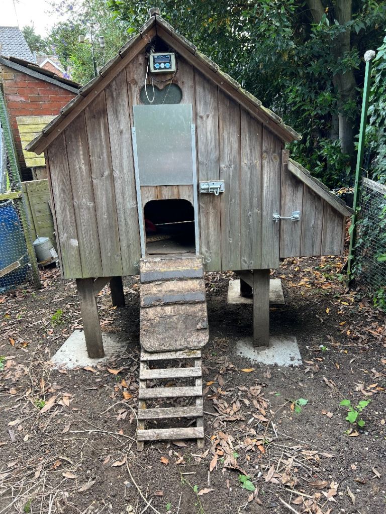 Flyte so Fancy Maggie’s Dozen long legged hen house