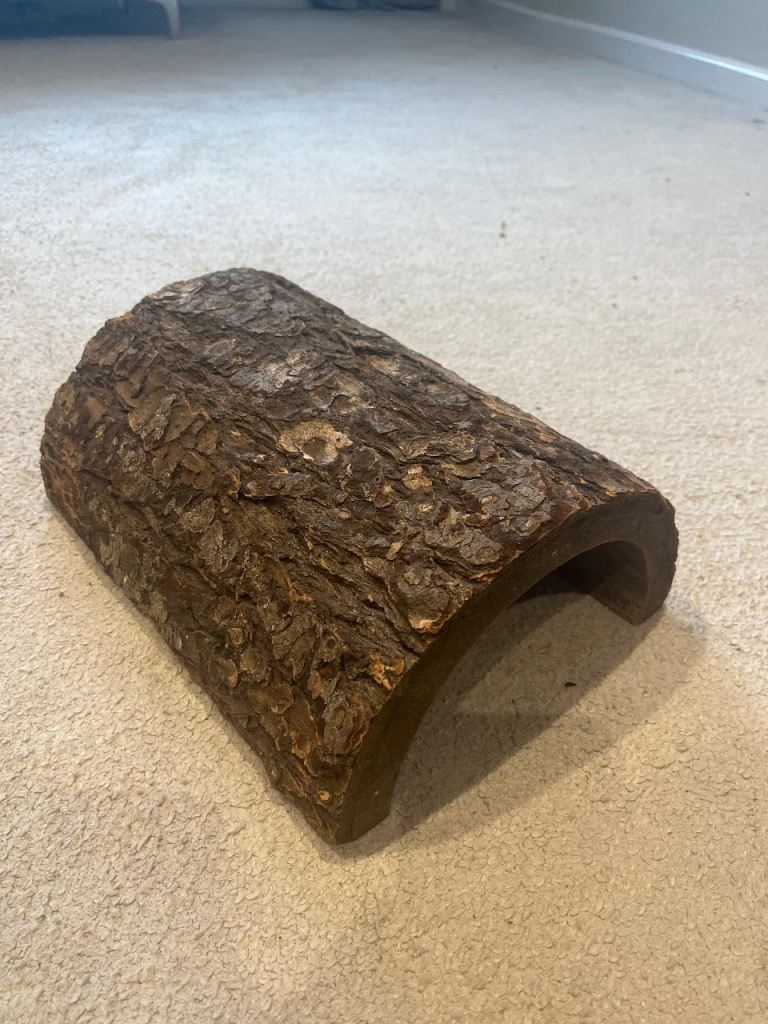Large reptile cave/log