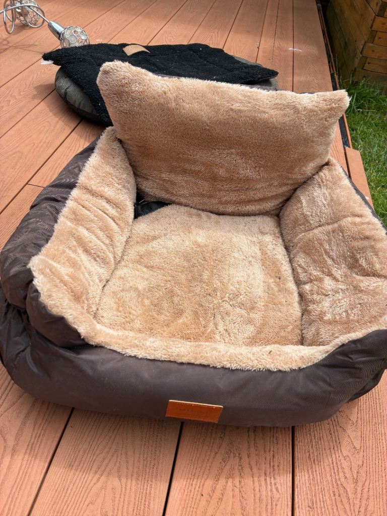Dog travel bed and comfy mats