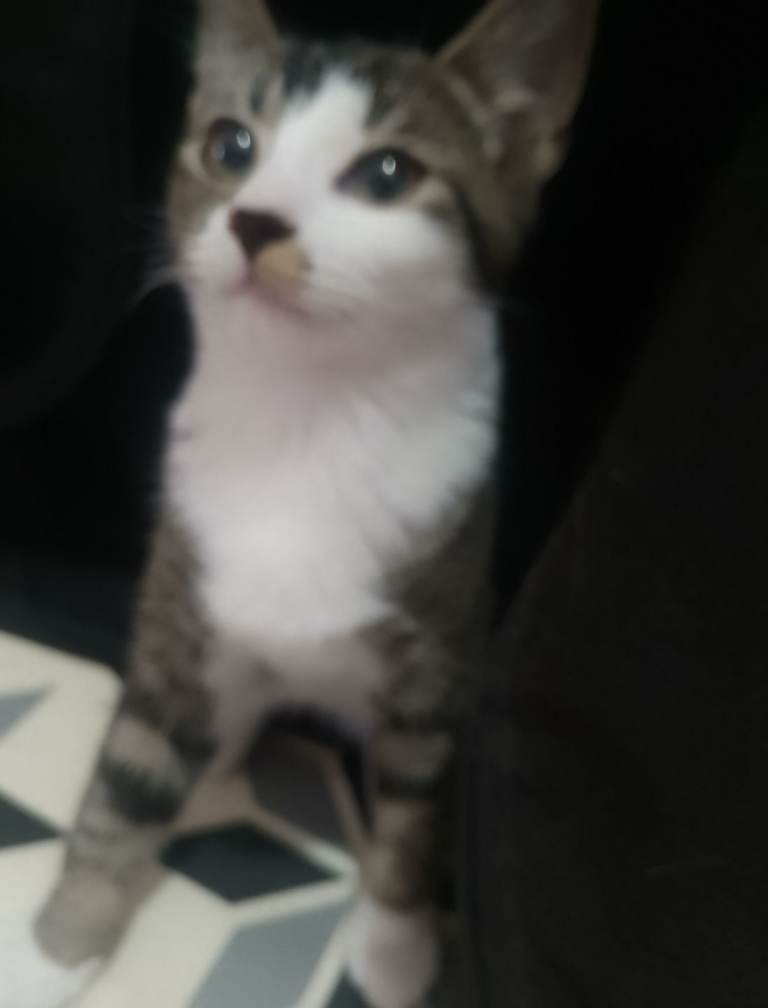 No name