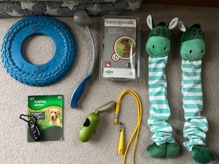 Puppy/ dog toys, whistle, harness accessories etc 