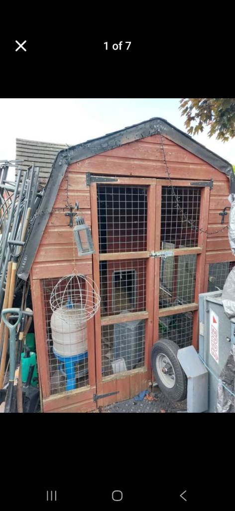 Large walk in chicken coop