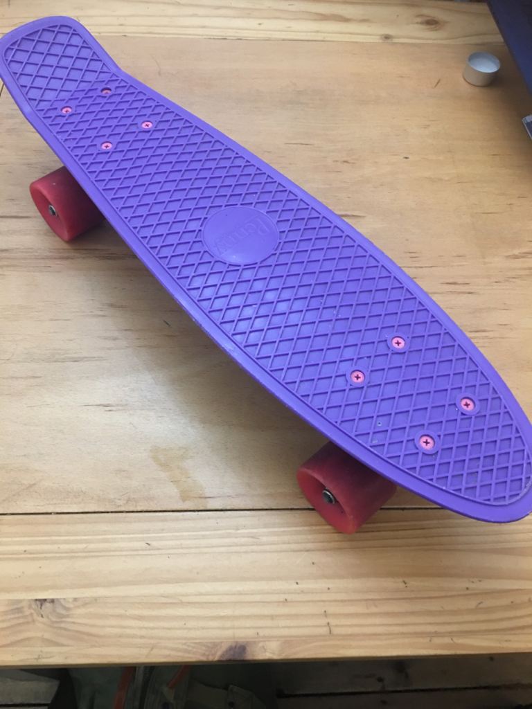 Penny Board Skateboard 