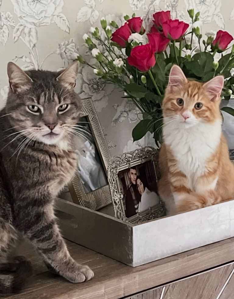 2 lovey boys must stay together 